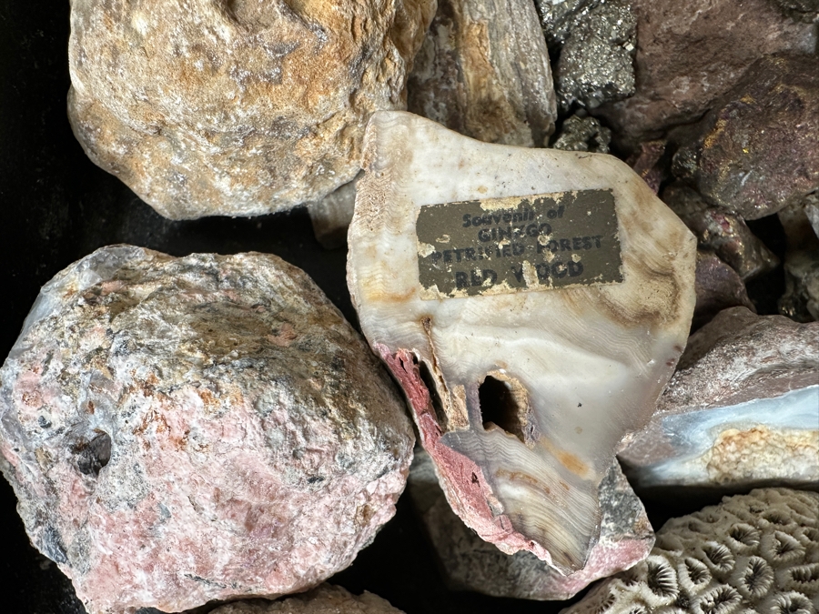 Just Added - Rock Collection Lot #5 With Petrified Wood & Fossils - See Photos [Photo 3]
