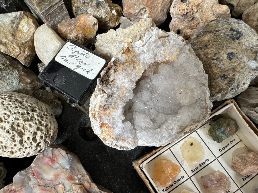 Just Added - Rock Collection Lot #5 With Petrified Wood & Fossils - See Photos [Photo 8]