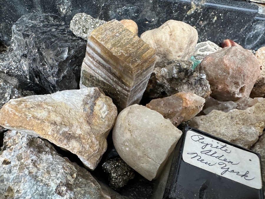 Just Added - Rock Collection Lot #5 With Petrified Wood & Fossils - See Photos [Photo 13]