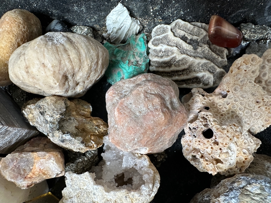 Just Added - Rock Collection Lot #5 With Petrified Wood & Fossils - See Photos [Photo 14]