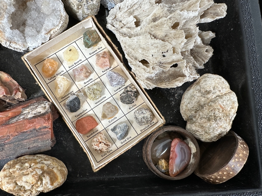 Just Added - Rock Collection Lot #5 With Petrified Wood & Fossils - See Photos [Photo 7]