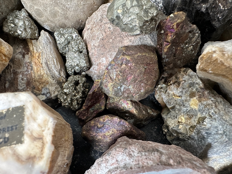 Just Added - Rock Collection Lot #5 With Petrified Wood & Fossils - See Photos [Photo 11]