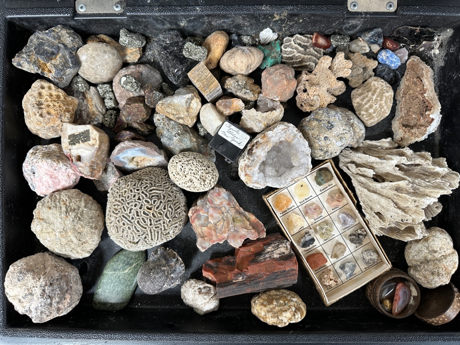 Just Added - Rock Collection Lot #5 With Petrified Wood & Fossils - See Photos [Photo 1]