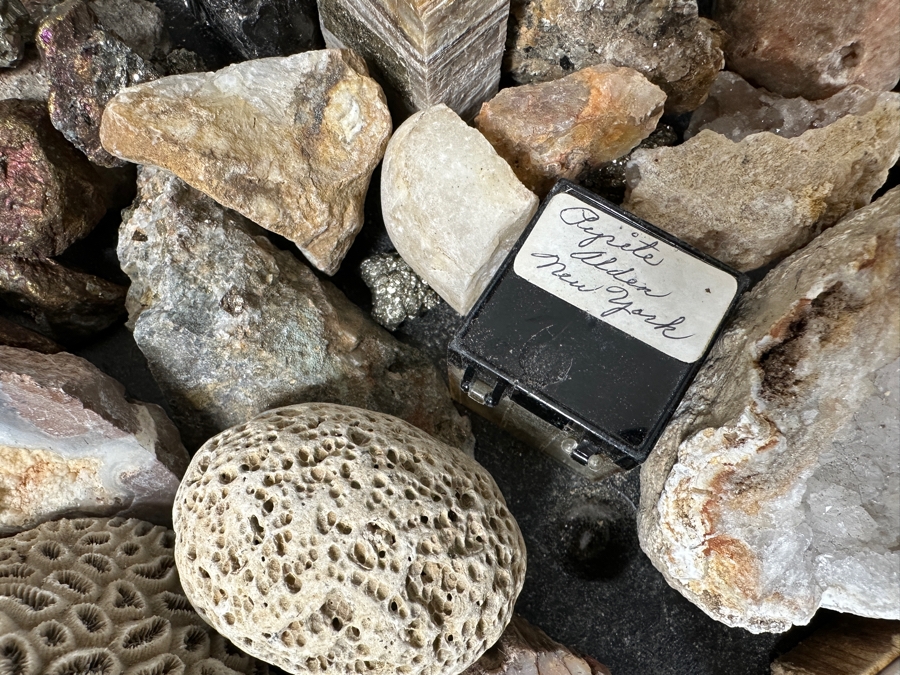 Just Added - Rock Collection Lot #5 With Petrified Wood & Fossils - See Photos [Photo 9]