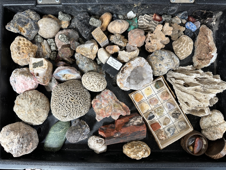 Just Added - Rock Collection Lot #5 With Petrified Wood & Fossils - See Photos [Photo 2]