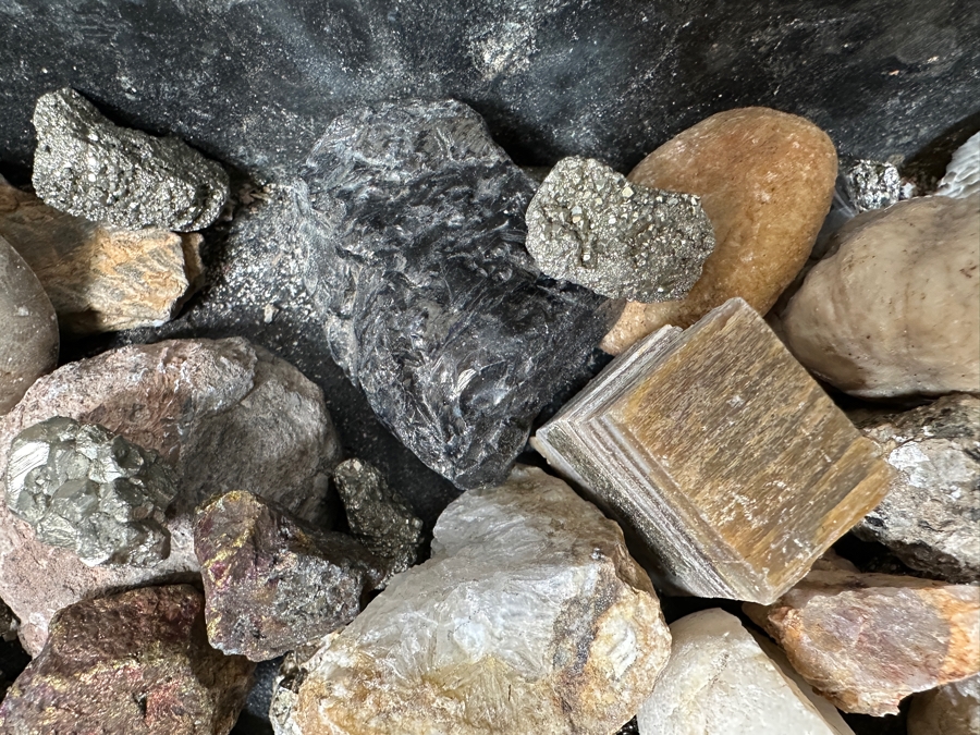 Just Added - Rock Collection Lot #5 With Petrified Wood & Fossils - See Photos [Photo 12]