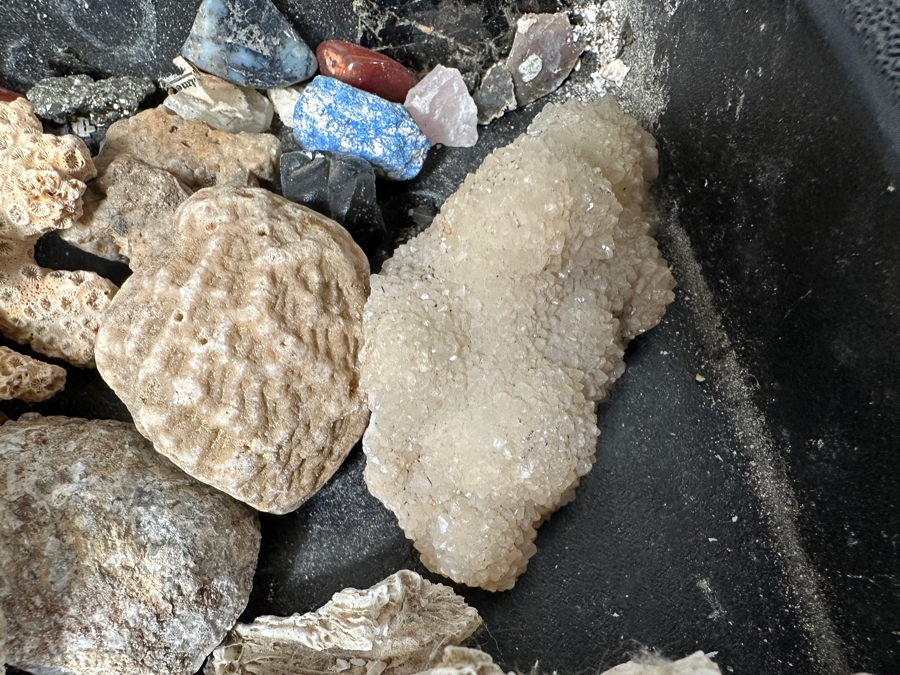 Just Added - Rock Collection Lot #5 With Petrified Wood & Fossils - See Photos [Photo 17]