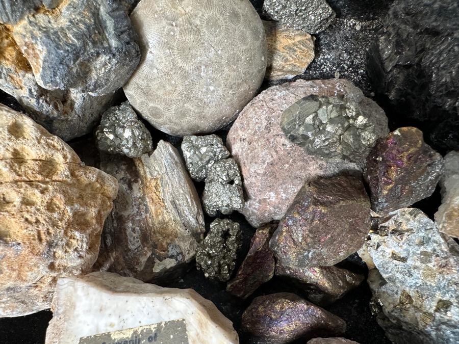 Just Added - Rock Collection Lot #5 With Petrified Wood & Fossils - See Photos [Photo 10]