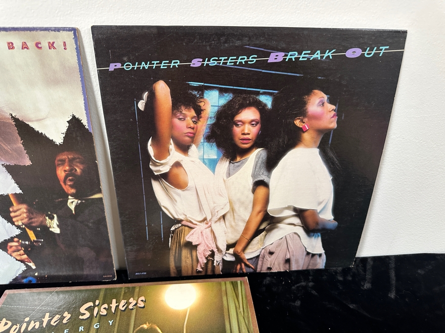 Just Added - Lot of (10) Ike & Tina Turner, Natalie Cole and Pointer Sister Vinyl Record Albums [Photo 10]