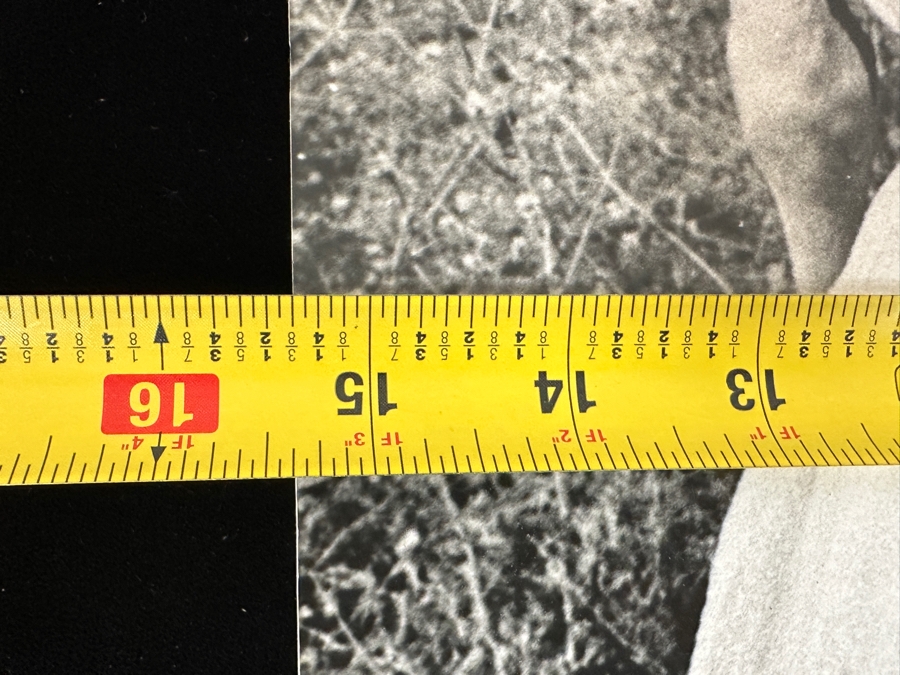 Just Added - Dave Hammel Photograph Mounted On Foam Board Of A Teeth-brushing Lesson with Leo Carrillo (Pancho), Duncan Renaldo (Cisco Kid) and Diablo. 15.5' x 19' [Photo 8]