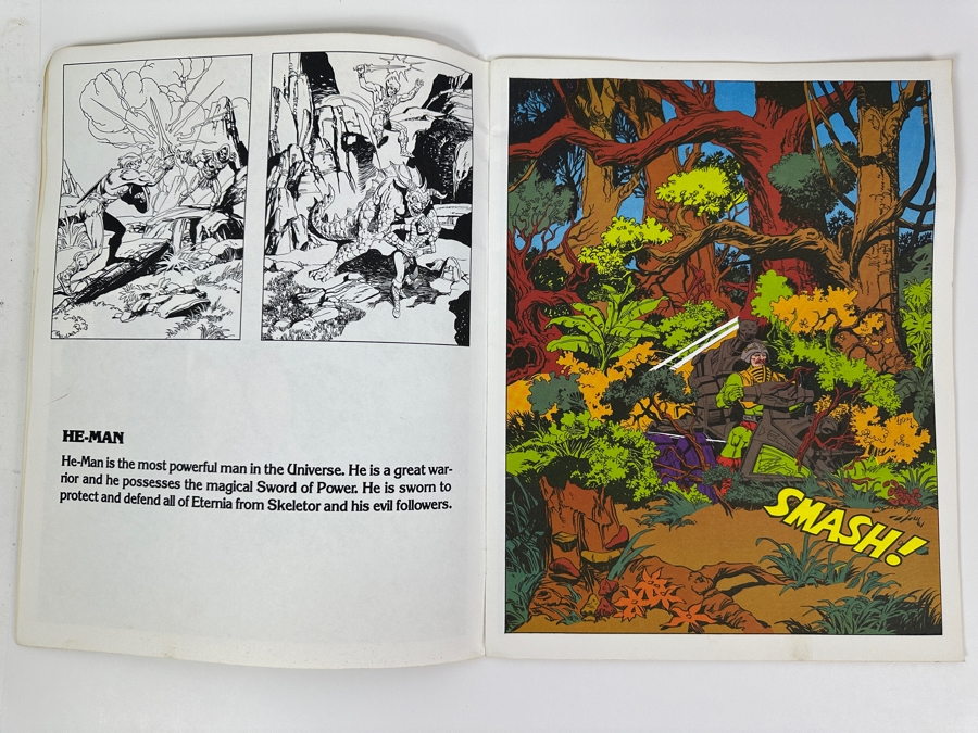 Vintage 1984 Masters Of The Universe Giant Picture Book Golden [Photo 6]