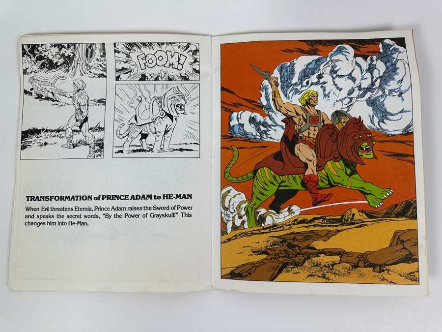 Vintage 1984 Masters Of The Universe Giant Picture Book Golden [Photo 10]