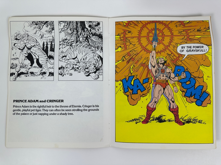 Vintage 1984 Masters Of The Universe Giant Picture Book Golden [Photo 9]