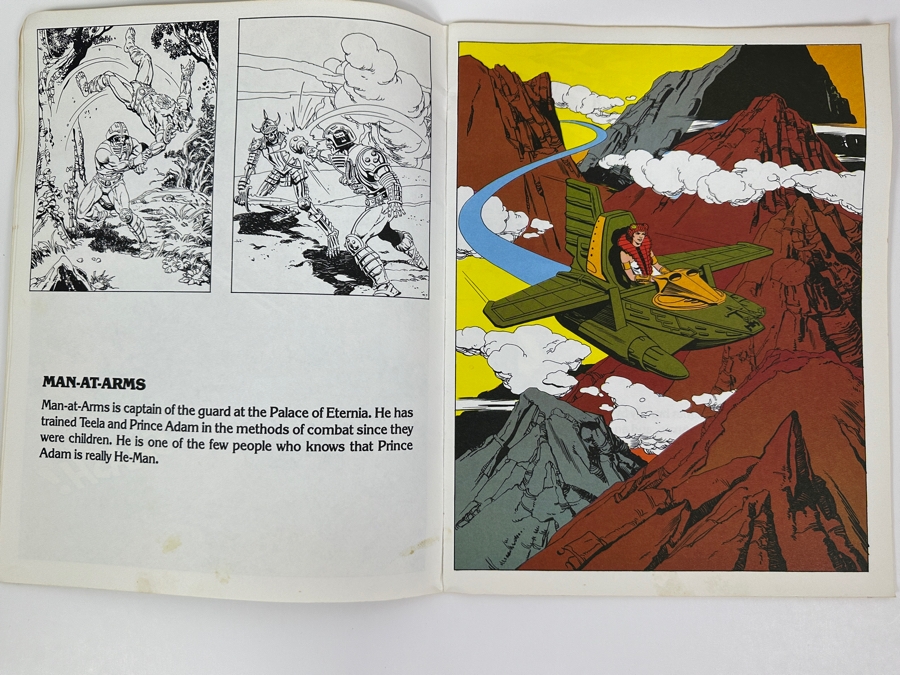 Vintage 1984 Masters Of The Universe Giant Picture Book Golden [Photo 7]