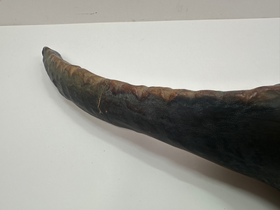 Vintage Leather Wrapped Handmade Alligator Crocodile Made In India 19W X 5H [Photo 10]