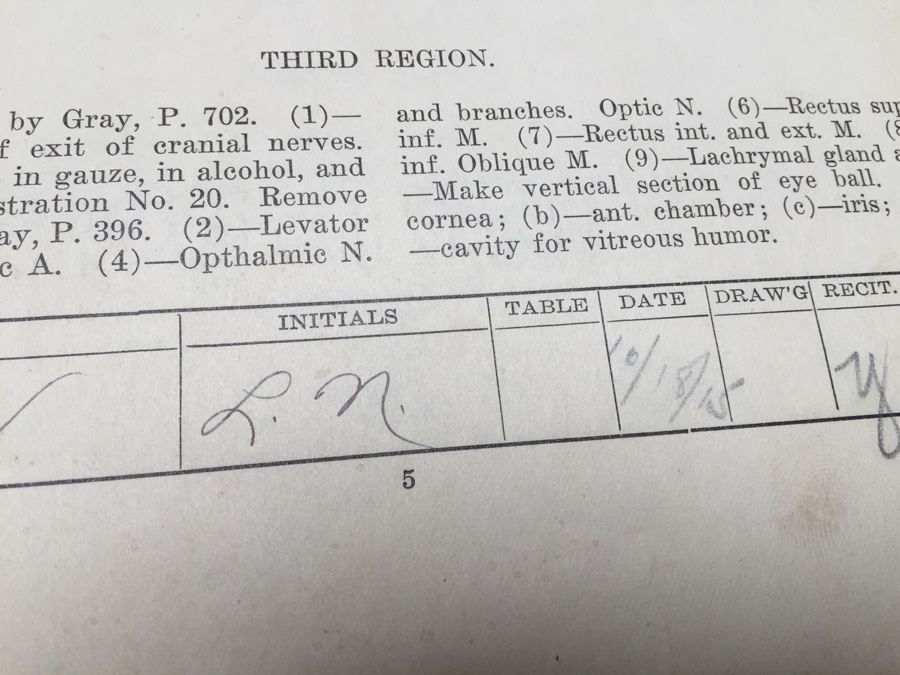 1915 Anatomical Drawings Sytem of Dissecting Dental School with Notes [Photo 11]