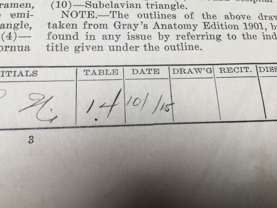1915 Anatomical Drawings Sytem of Dissecting Dental School with Notes [Photo 8]