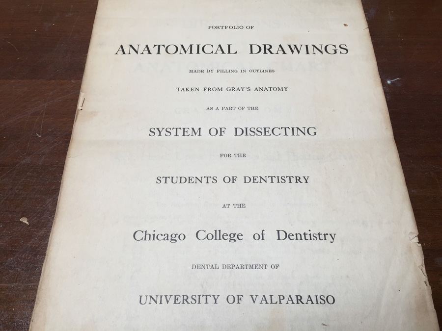 1915 Anatomical Drawings Sytem of Dissecting Dental School with Notes