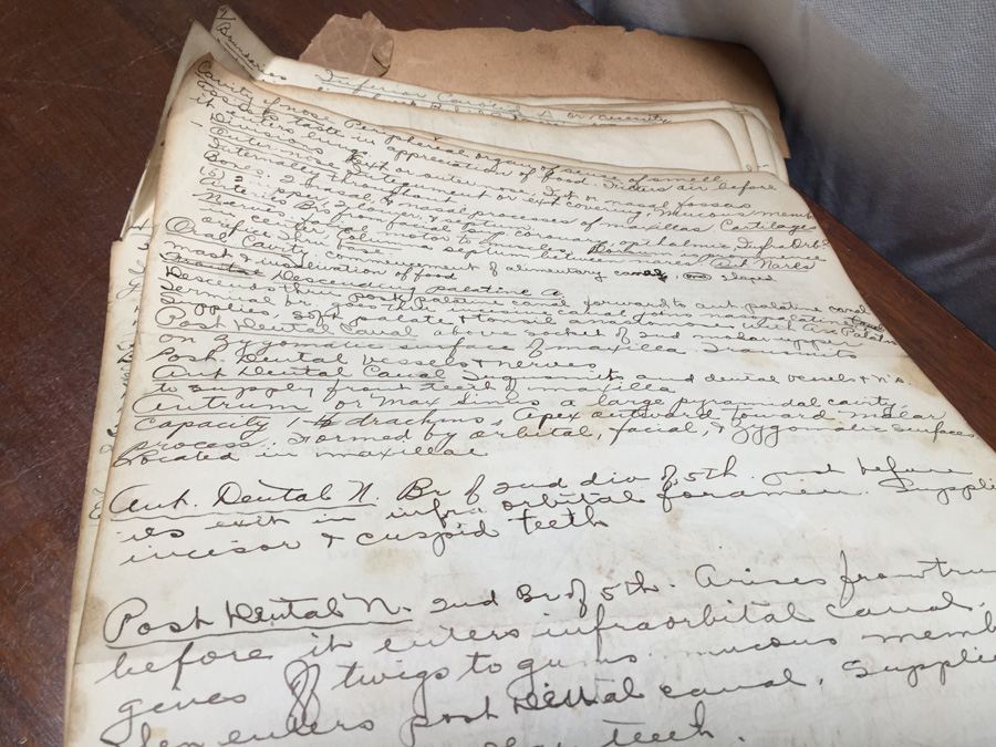 1915 Anatomical Drawings Sytem of Dissecting Dental School with Notes [Photo 25]