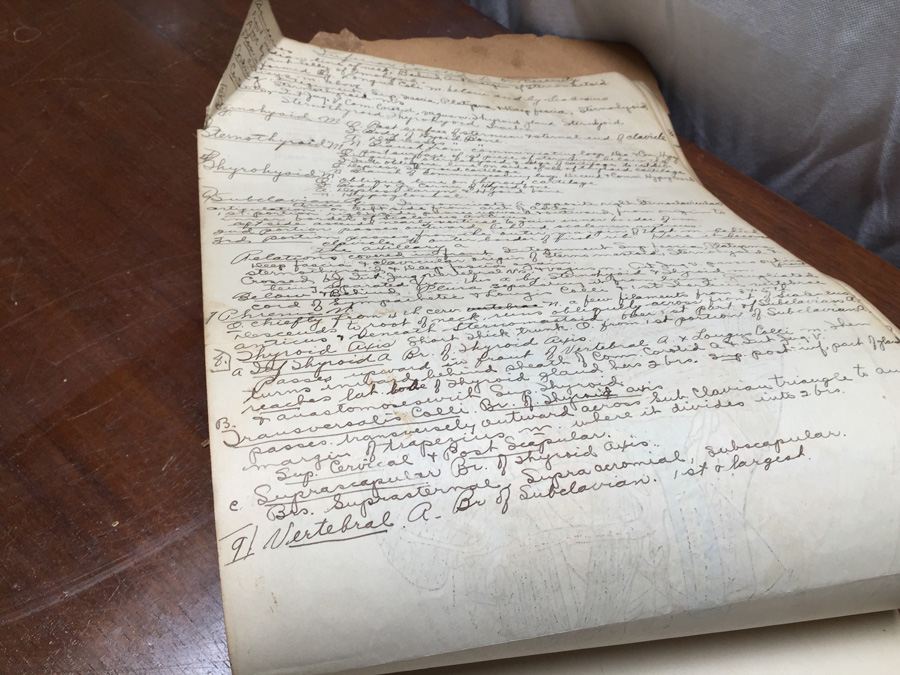 1915 Anatomical Drawings Sytem of Dissecting Dental School with Notes [Photo 19]