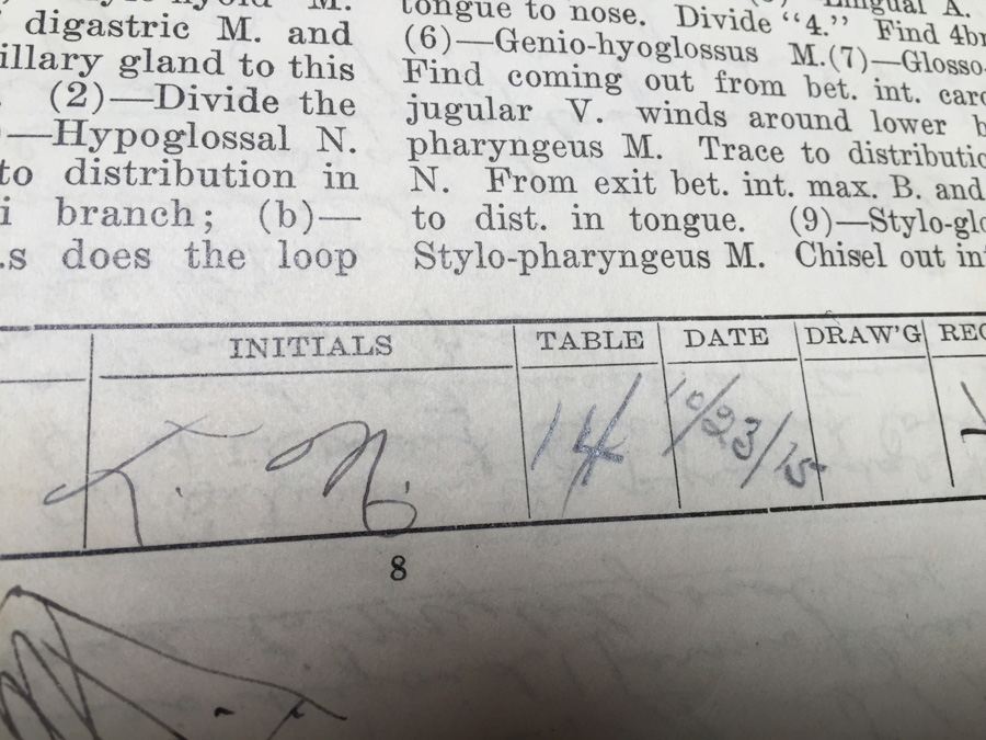1915 Anatomical Drawings Sytem of Dissecting Dental School with Notes [Photo 14]