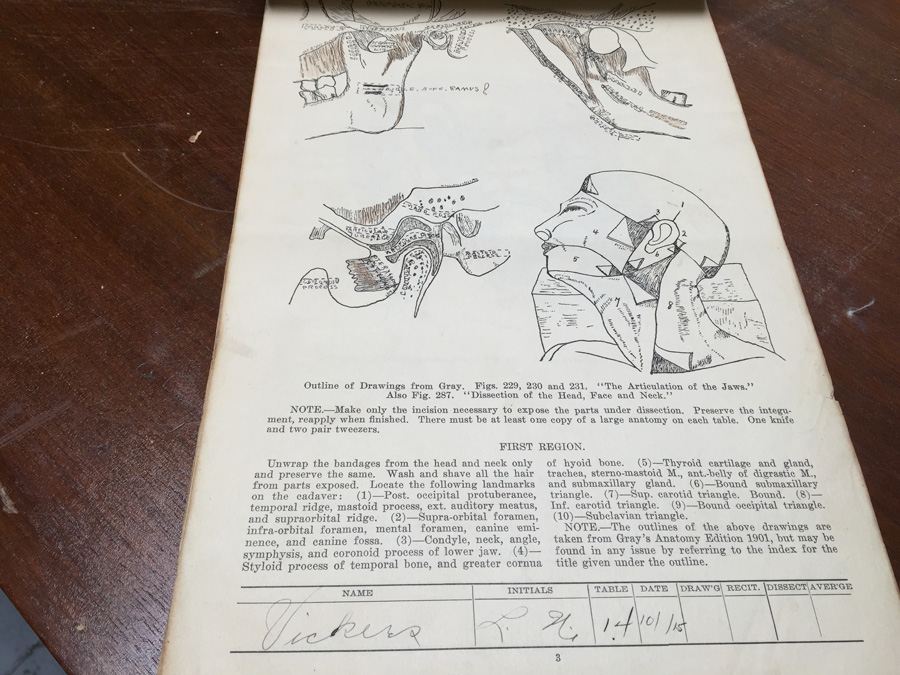 1915 Anatomical Drawings Sytem of Dissecting Dental School with Notes [Photo 7]