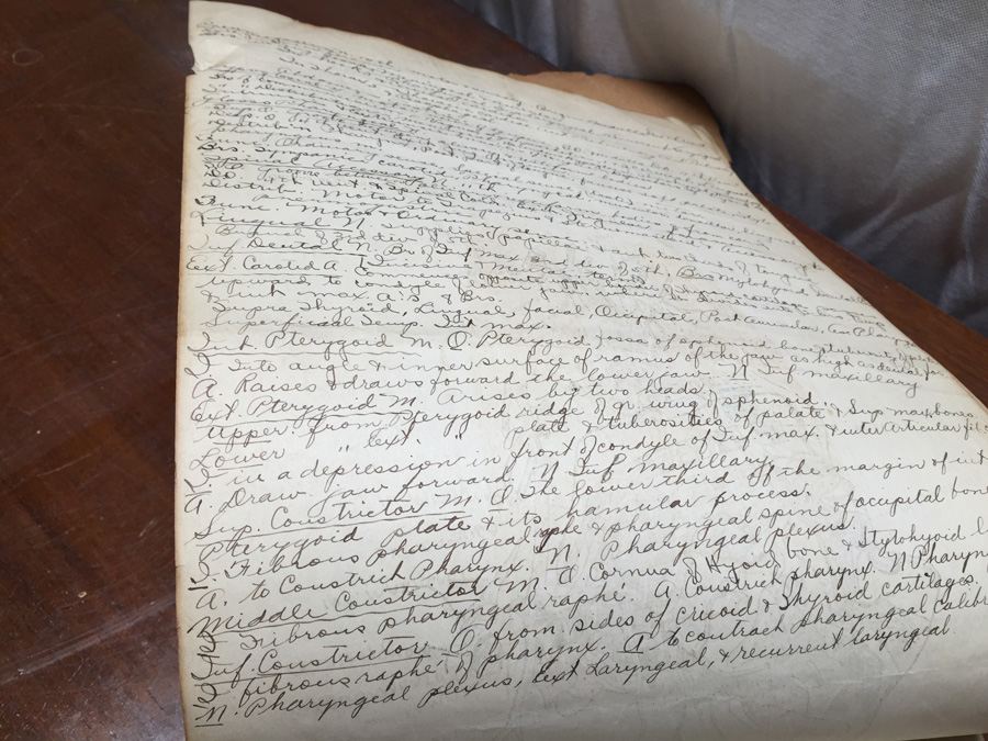 1915 Anatomical Drawings Sytem of Dissecting Dental School with Notes [Photo 22]