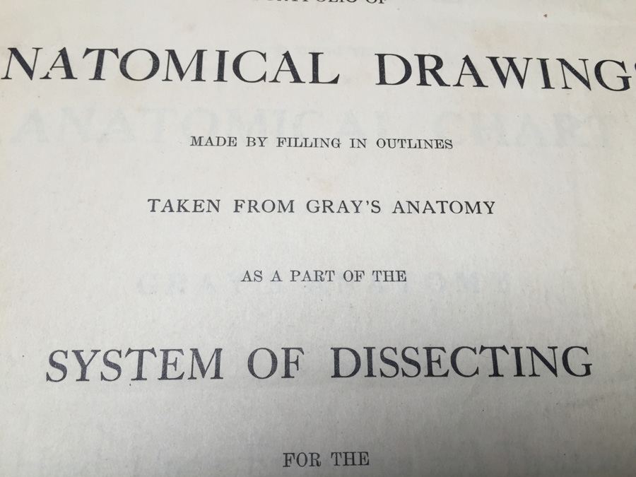 1915 Anatomical Drawings Sytem of Dissecting Dental School with Notes [Photo 5]