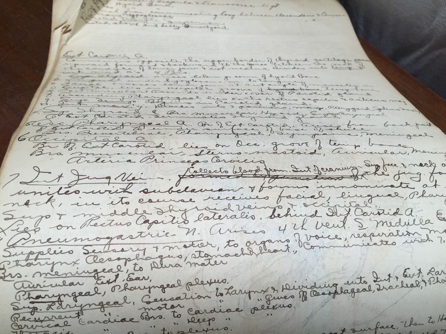 1915 Anatomical Drawings Sytem of Dissecting Dental School with Notes [Photo 17]