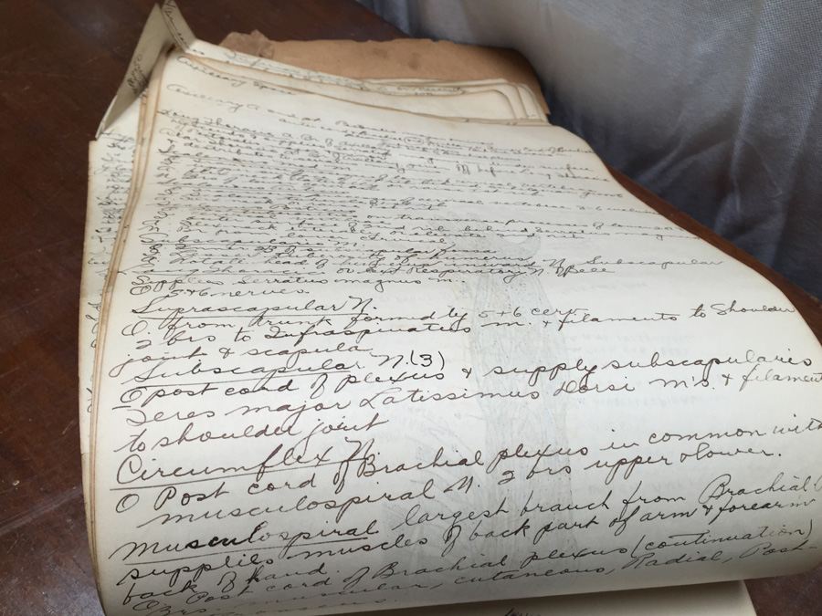 1915 Anatomical Drawings Sytem of Dissecting Dental School with Notes [Photo 27]