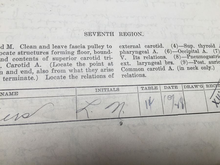 1915 Anatomical Drawings Sytem of Dissecting Dental School with Notes [Photo 16]