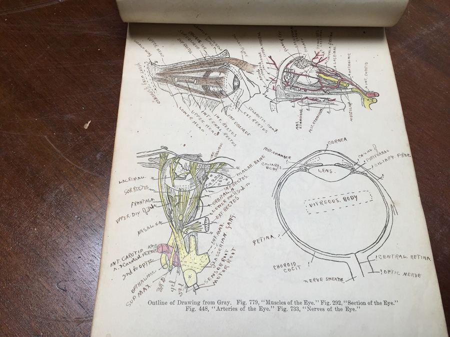 1915 Anatomical Drawings Sytem of Dissecting Dental School with Notes [Photo 10]
