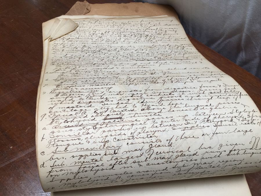 1915 Anatomical Drawings Sytem of Dissecting Dental School with Notes [Photo 3]