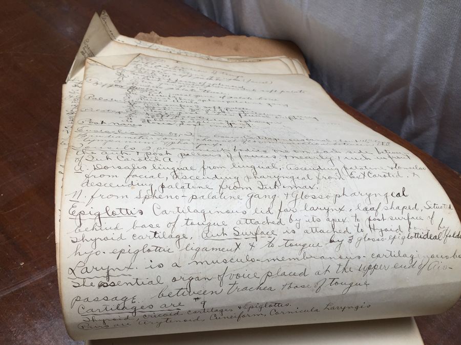 1915 Anatomical Drawings Sytem of Dissecting Dental School with Notes [Photo 23]