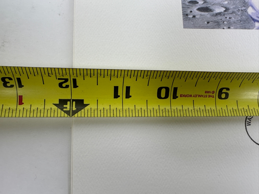 Vintage USPS Moon Landing Souvenir Print First Day Of Issue Stamps July 20, 1994 12 X 16 [Photo 6]