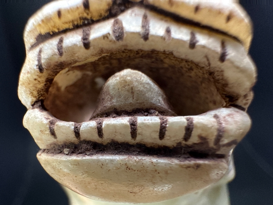 Chinese Carved Jade Fengshui Animal Tiger Figure Statue 527.9g 6.25'L [Photo 20]