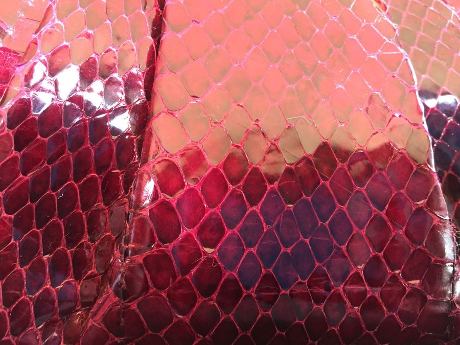 Susan Gail Genuine Snake Handbag [Photo 6]