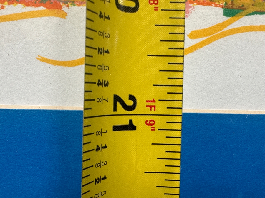 Hand Signed Juli Veee (San Diego Sockers Second All Time Leading Scorer) Soccer Print Titled 'Pride' 34W X 21H Framed 41.5 X 28.5 [Photo 10]