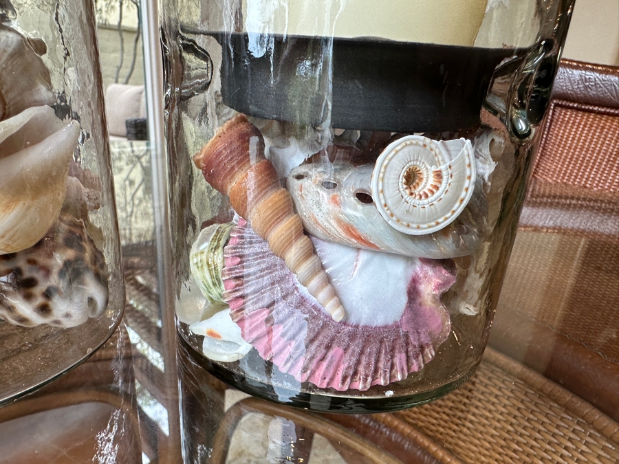 Set of (3) Grandin Road Bogota Round Glass Hurricanes With Organic Seashells 8'H - 12.5'H [Photo 5]