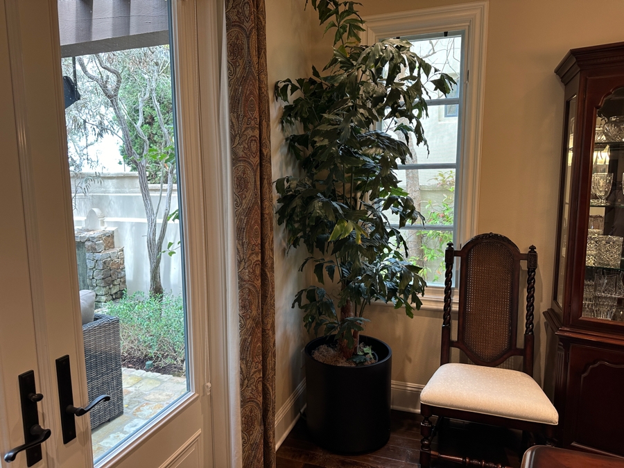 Artificial Indoor Plant Ficus Tree 114'H With Black Pot 20W [Photo 1]