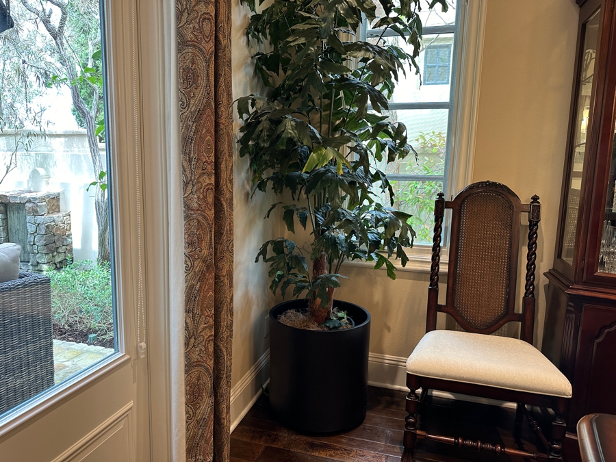 Artificial Indoor Plant Ficus Tree 114'H With Black Pot 20W [Photo 2]