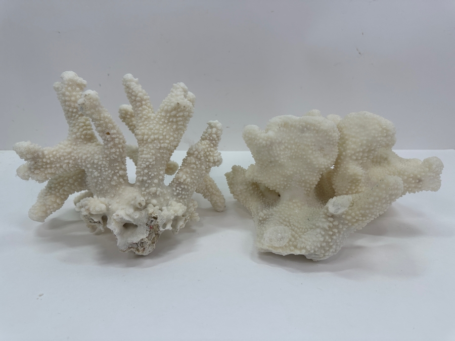 Pair Of Organic White Coral Specimens 8'W [Photo 6]
