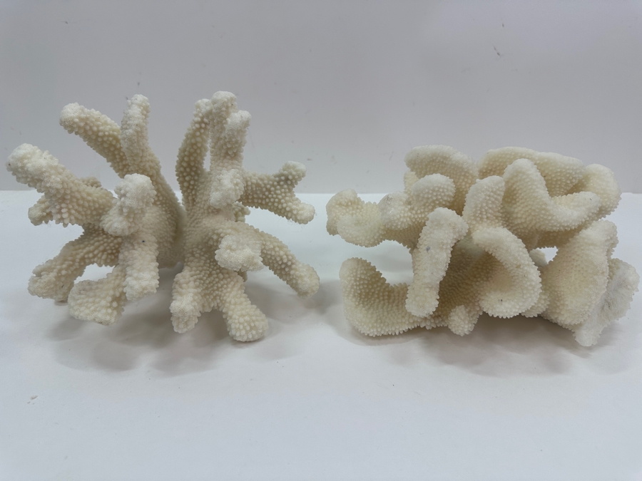 Pair Of Organic White Coral Specimens 8'W [Photo 2]