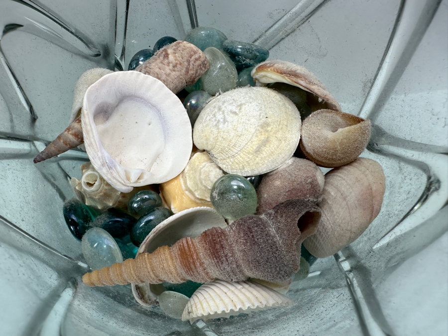 Handblown Glass Vase Filled With Organic Seashells 13.5'H [Photo 2]