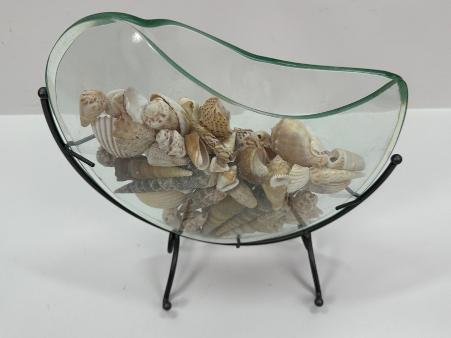 Glass Vase With Metal Stand Filled With Organic Seashells 10W X 10H [Photo 6]