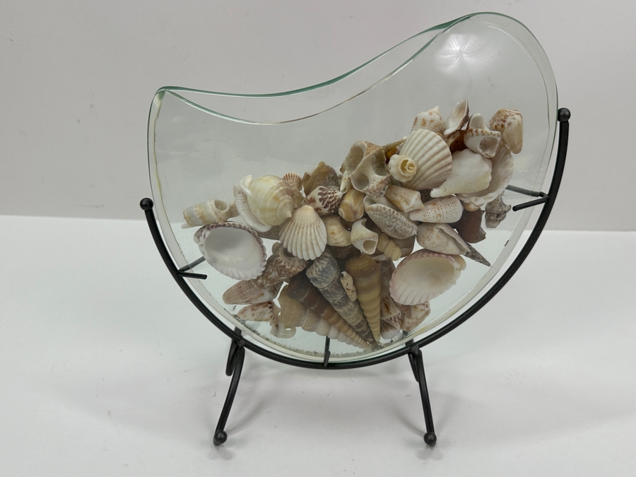 Glass Vase With Metal Stand Filled With Organic Seashells 10W X 10H [Photo 7]