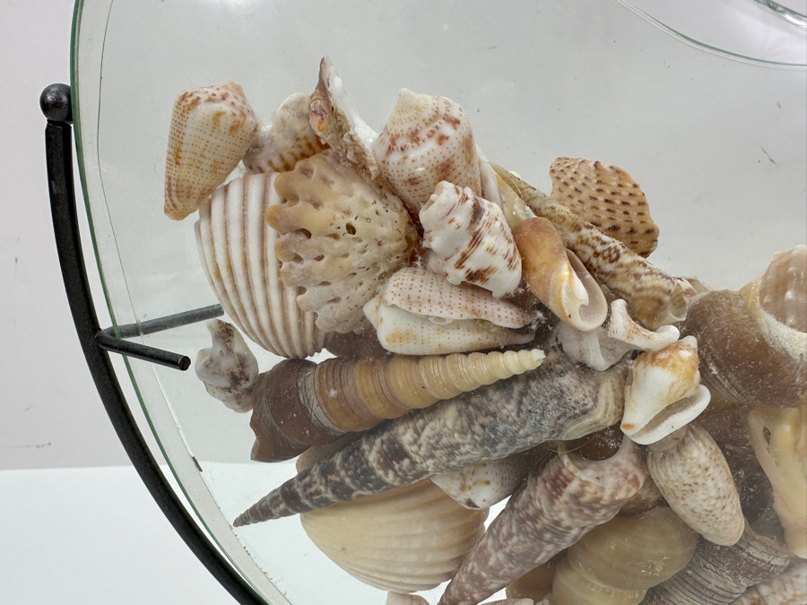 Glass Vase With Metal Stand Filled With Organic Seashells 10W X 10H [Photo 5]