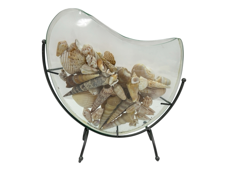Glass Vase With Metal Stand Filled With Organic Seashells 10W X 10H [Photo 1]