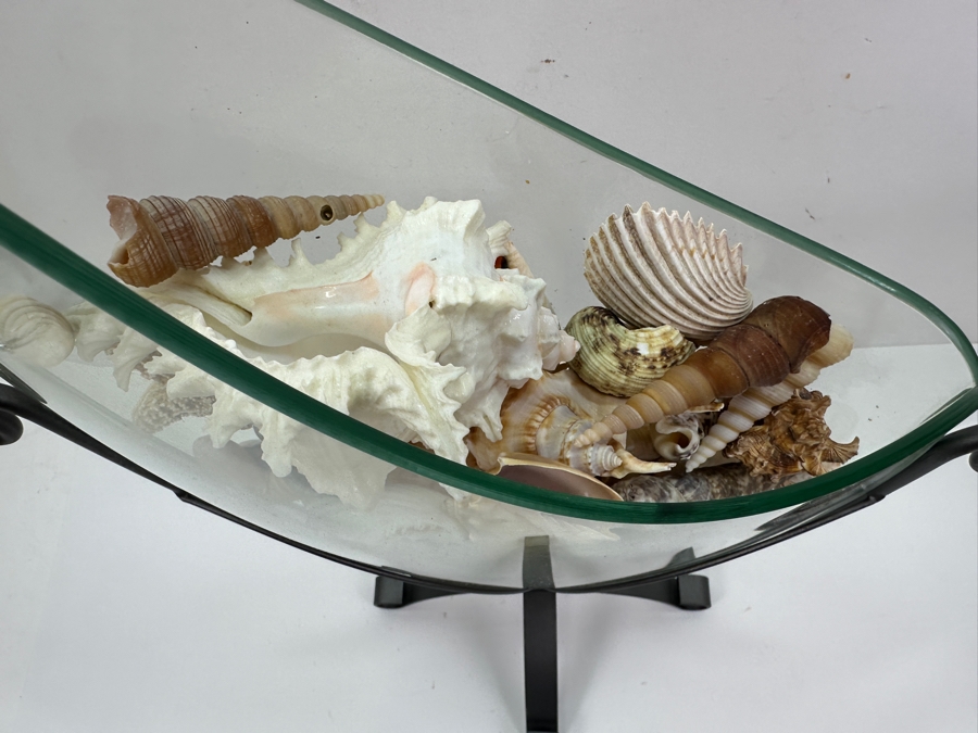 Glass Vase With Metal Stand Filled With Organic Seashells 15.5W X 19H [Photo 6]
