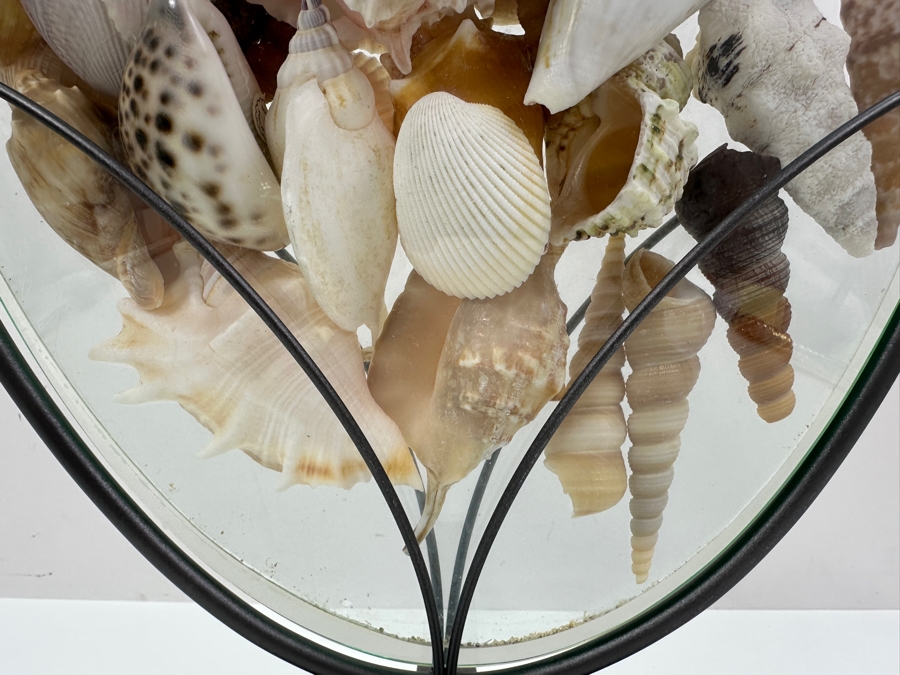 Glass Vase With Metal Stand Filled With Organic Seashells 15.5W X 19H [Photo 4]
